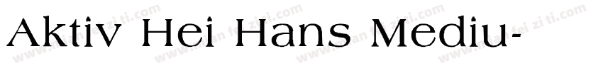 Aktiv Hei Hans Mediu字体转换